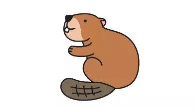 beaver_2