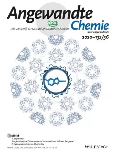 Cover from Angewandte Chemie 2020-132/36, featuring a group publication