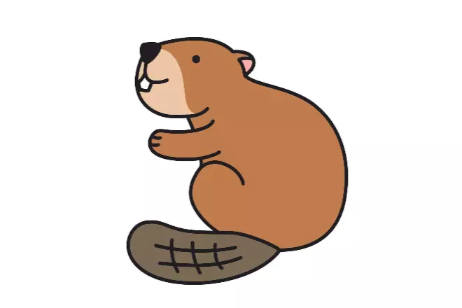 beaver_2